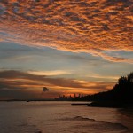 nature_01