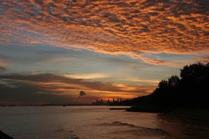 nature_01