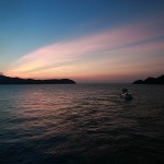 nature_03