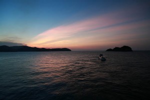 nature_03